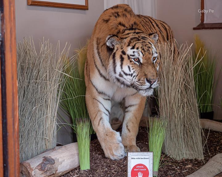 Tierpark-Restaurant